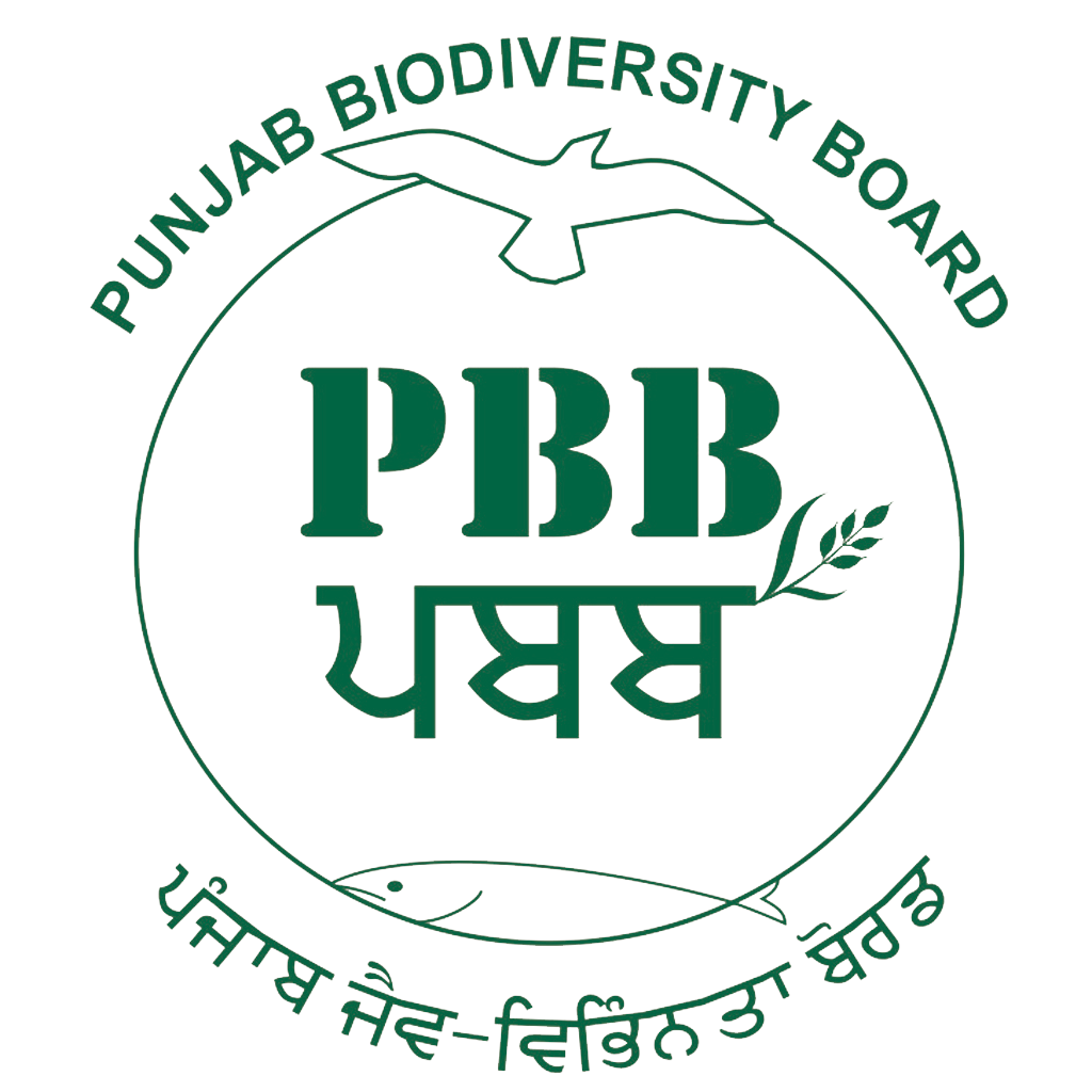 biodiversity essay in punjabi